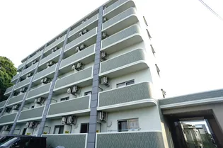 ペパーミントの画像