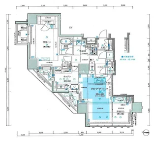 東京都港区南青山7【マンション】の間取り
