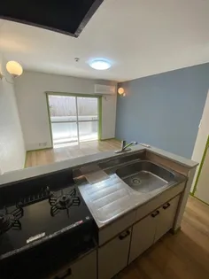 エレガンス木花II【1階】のキッチン