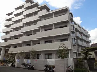 メゾン・ド・シャトラン【4階】の外観