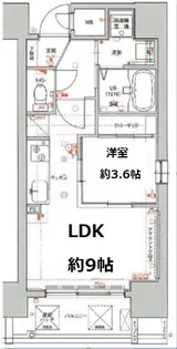 アクアプレイス南堀江【12階】の間取り