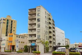 大阪府大阪市平野区平野馬場2【マンション】の外観