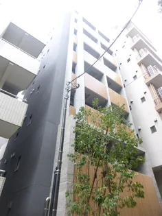 CYPRESS ONARIMONの画像