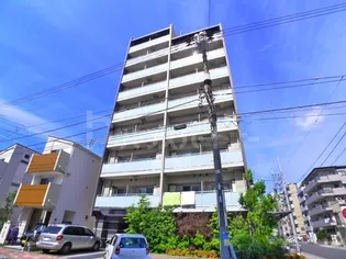 プリンス54の画像