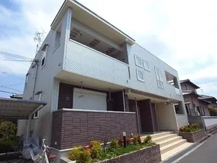 パライソの画像