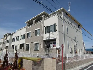 シンビジウム M&S Bの画像