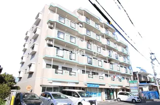 ソシアグリーンオークの画像