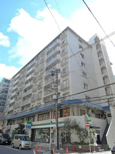 四ツ橋セントラルハイツの画像