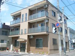 パレスイン シマの画像