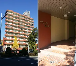 ソミュール桜ヶ丘A棟の画像