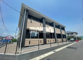 エクセル華の画像
