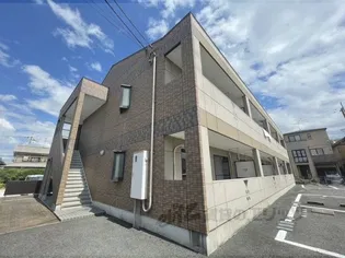 エバーグリーンの画像