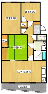 静岡県浜松市中央区本郷町【マンション】の間取り