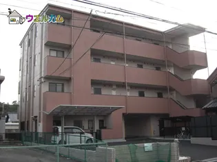 コンフォート錦の画像