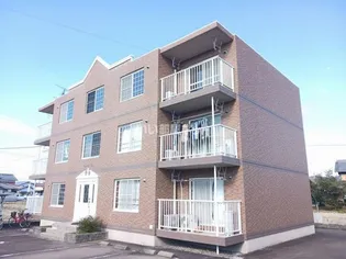 セレッソ21の画像