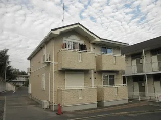 サニー ヒルズの画像