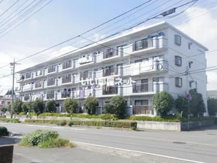埼玉県上尾市井戸木3【マンション】の外観
