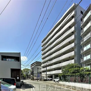 ナウヴィレッジ港の画像