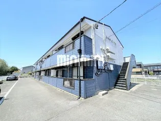 ハイネスの画像