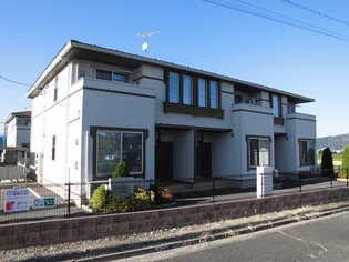 プラシード A DKの画像