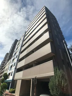 アラモ 1の画像