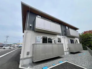 ステラの画像
