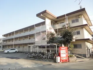サンブリッジの画像