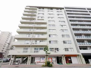 チサンマンション札幌第一【9階】の外観