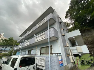 グレース香澄の画像