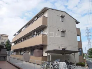 ヴィオラの画像