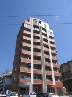 ティニーMATSUYAMAの画像