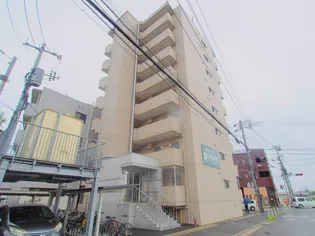 ヴェールMの画像