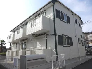 シェモアの画像