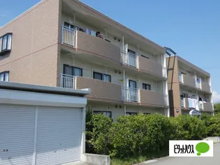 エクセリーナ21の画像