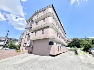 シャルム国松の画像