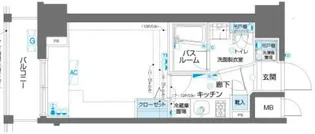 ZOOM川崎SOUTH【11階】の間取り