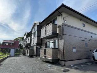 ウィルオルメの画像