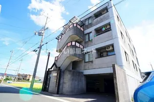 松山サザンクロスの画像