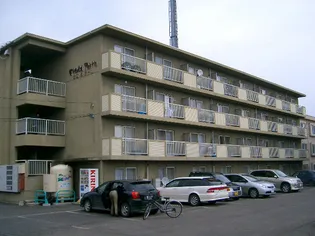 ピエタテールの画像