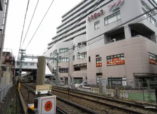 セダーフィネス横浜【3階】の周辺