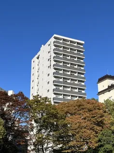 エイトバレー43平和大通りの画像