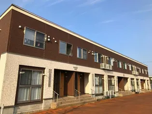 フリージアの画像