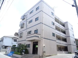 KSラベンダーの画像