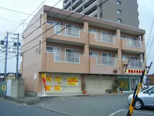 アーリーバードの画像