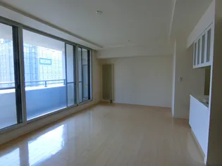 シティハウス円山北3条の画像