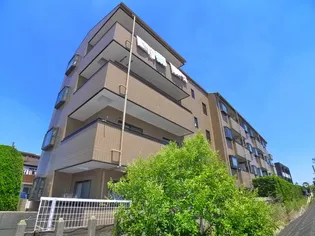 サンライズリバーの画像