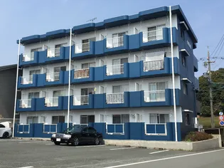 ライブ小島の画像