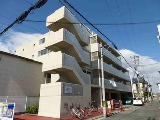 ドゥミール西山本の画像