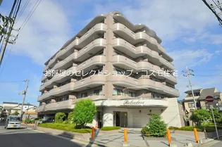 ベルヴェデーレの画像