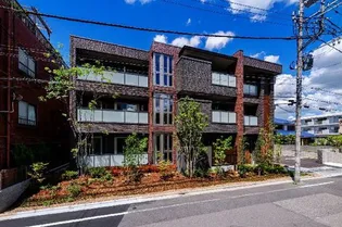 ルナリアの画像